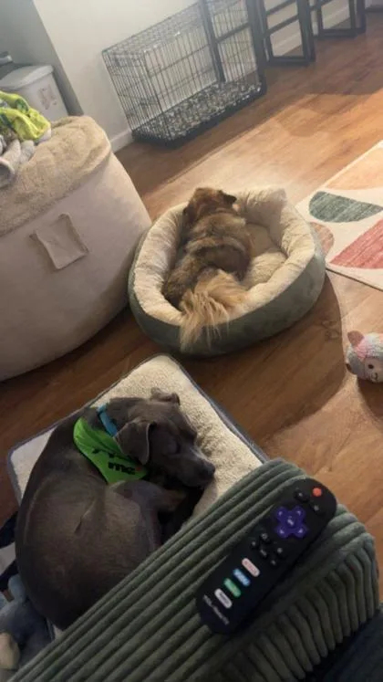 Benjamin Franklin thumbnail 2