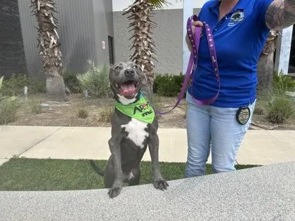 Benjamin Franklin thumbnail 3