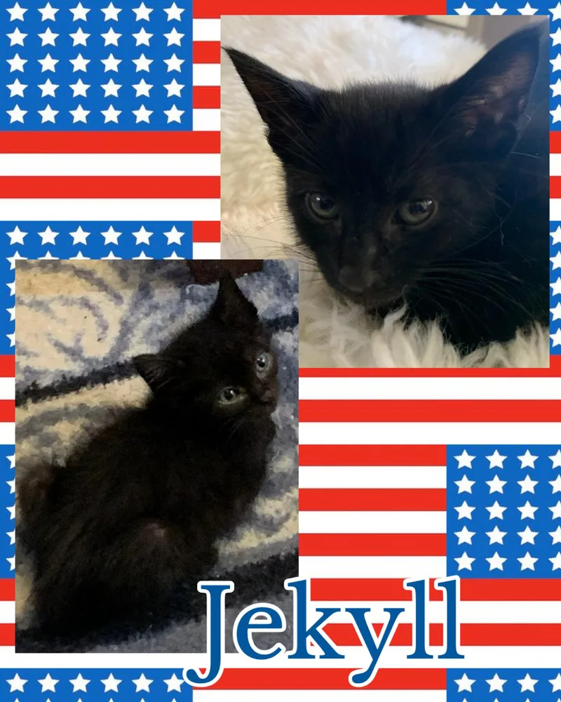 Jekyll thumbnail 2