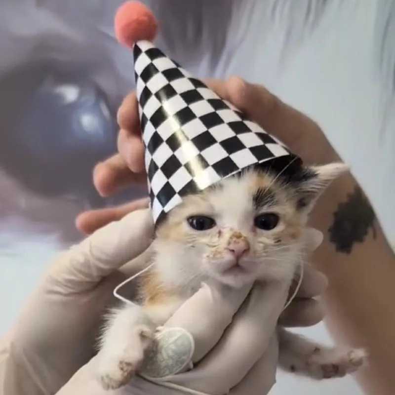 Winnie Pearl thumbnail 3