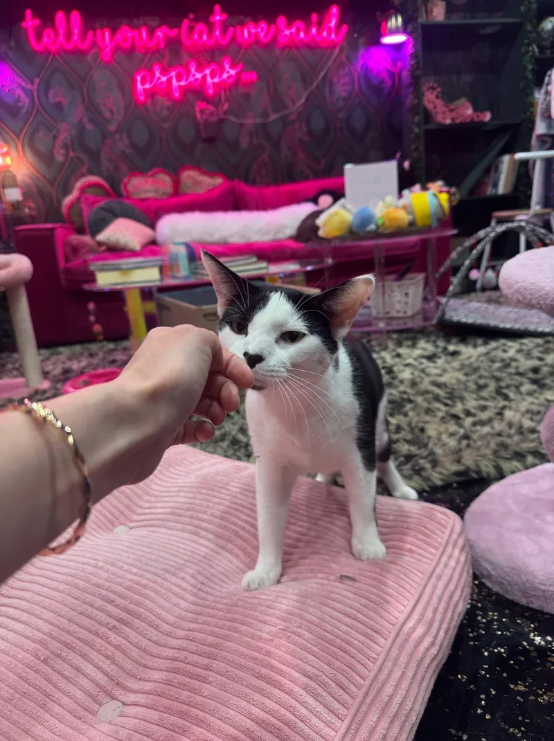 Michael  Bonded To thumbnail 3