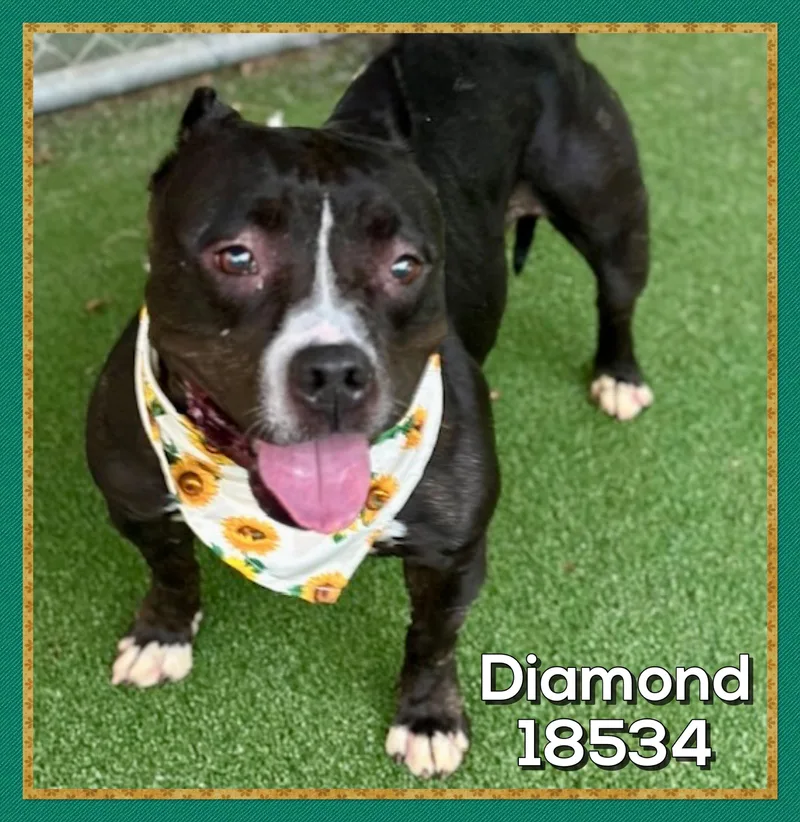 Diamond thumbnail 3