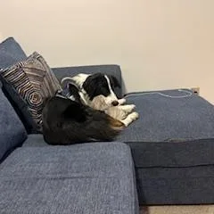 Talley Talent thumbnail 3