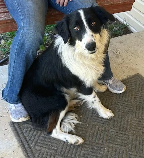 Talley Talent thumbnail 4