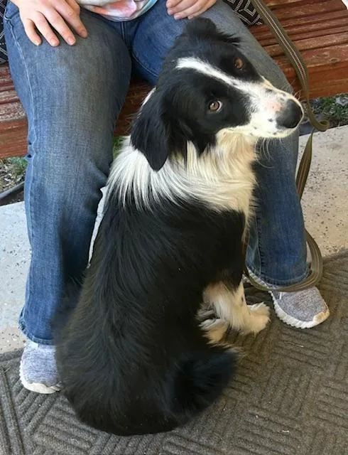 Talley Talent thumbnail 6