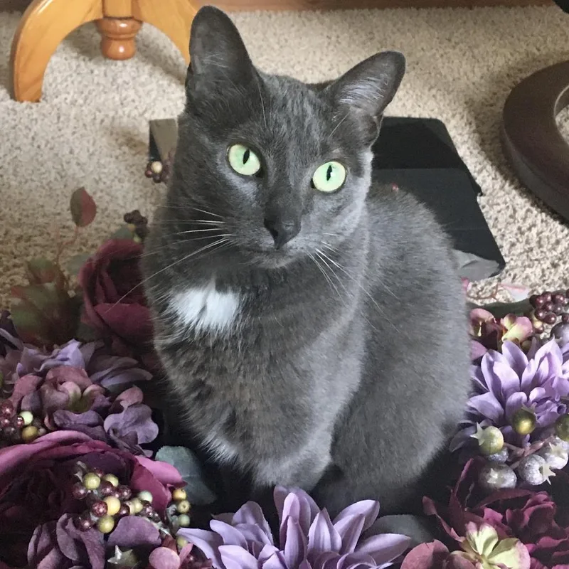 Gretta
