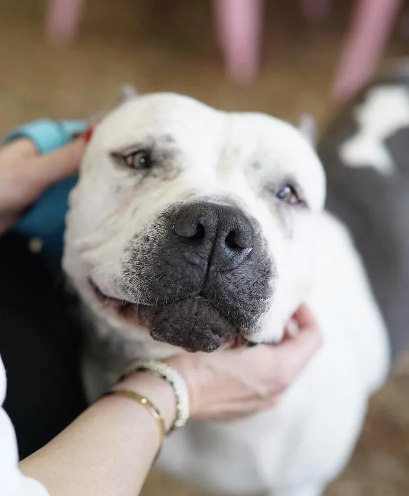 Freckles thumbnail 3