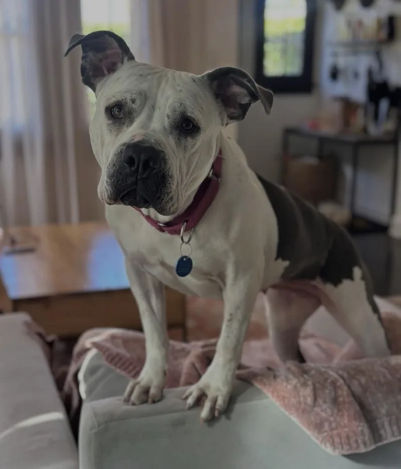 Freckles thumbnail 4