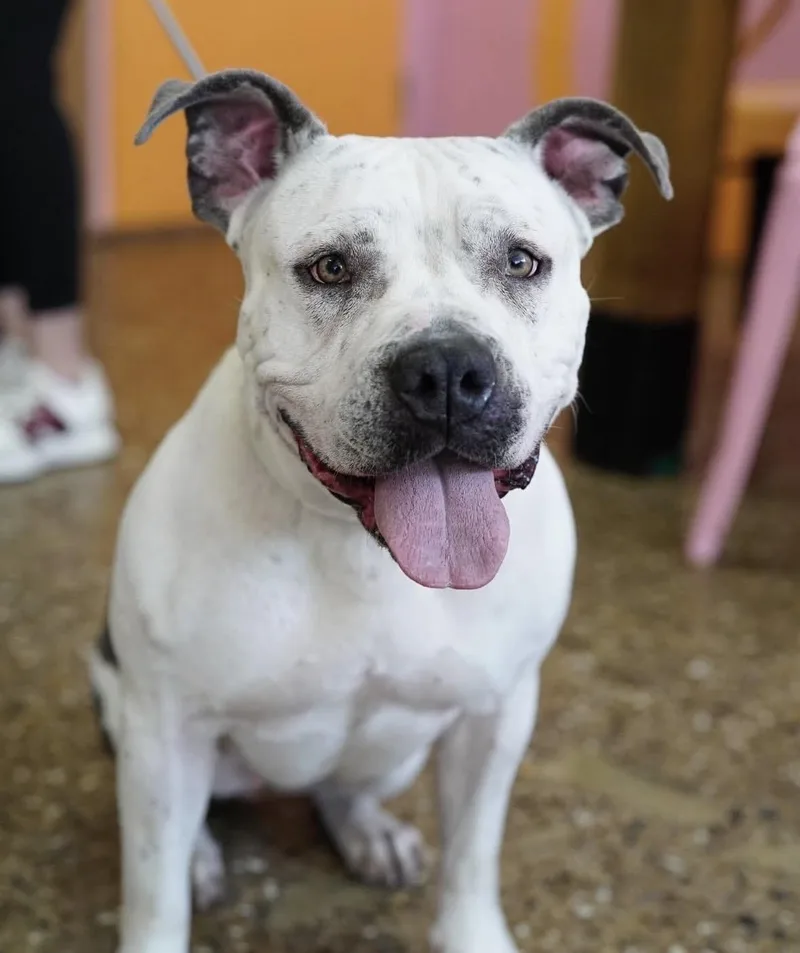 Freckles thumbnail 5