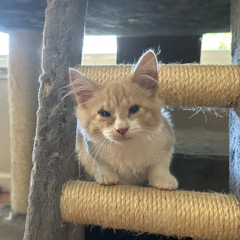 Gustave & Emma thumbnail 2