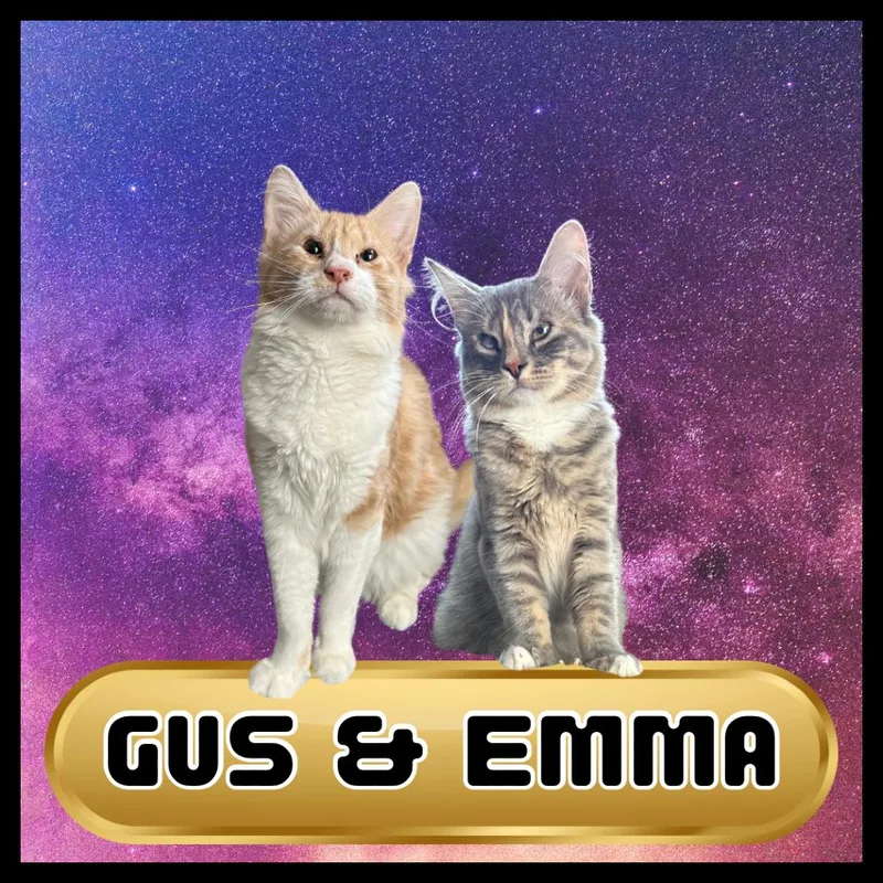 Gustave & Emma thumbnail 3