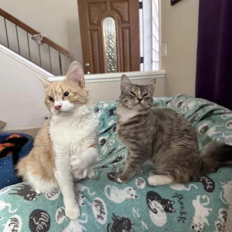 Gustave & Emma thumbnail 5