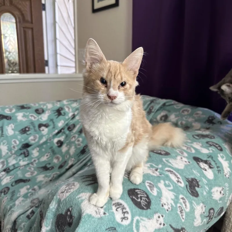 Gustave & Emma thumbnail 6