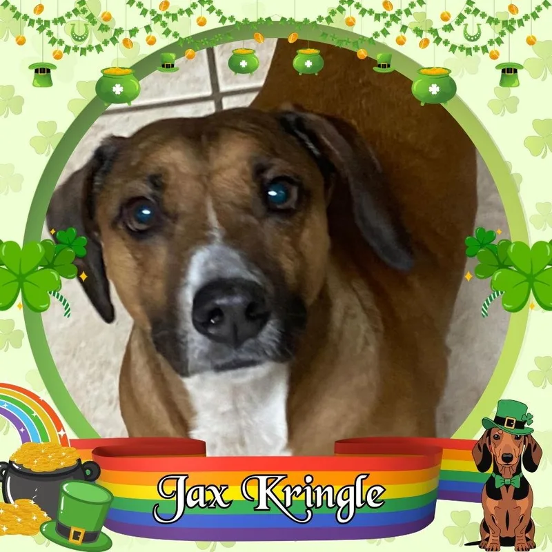 Jax Kringle