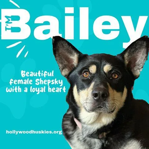 Bailee thumbnail 4