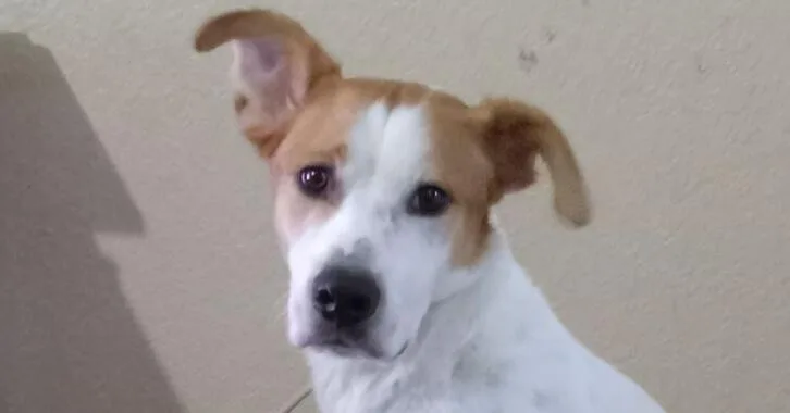 Catalina thumbnail 4