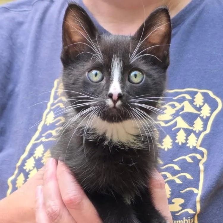 Peppercorn thumbnail 3