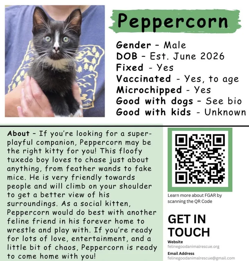 Peppercorn thumbnail 4