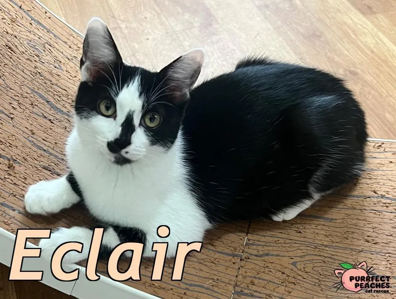 Eclair thumbnail 2