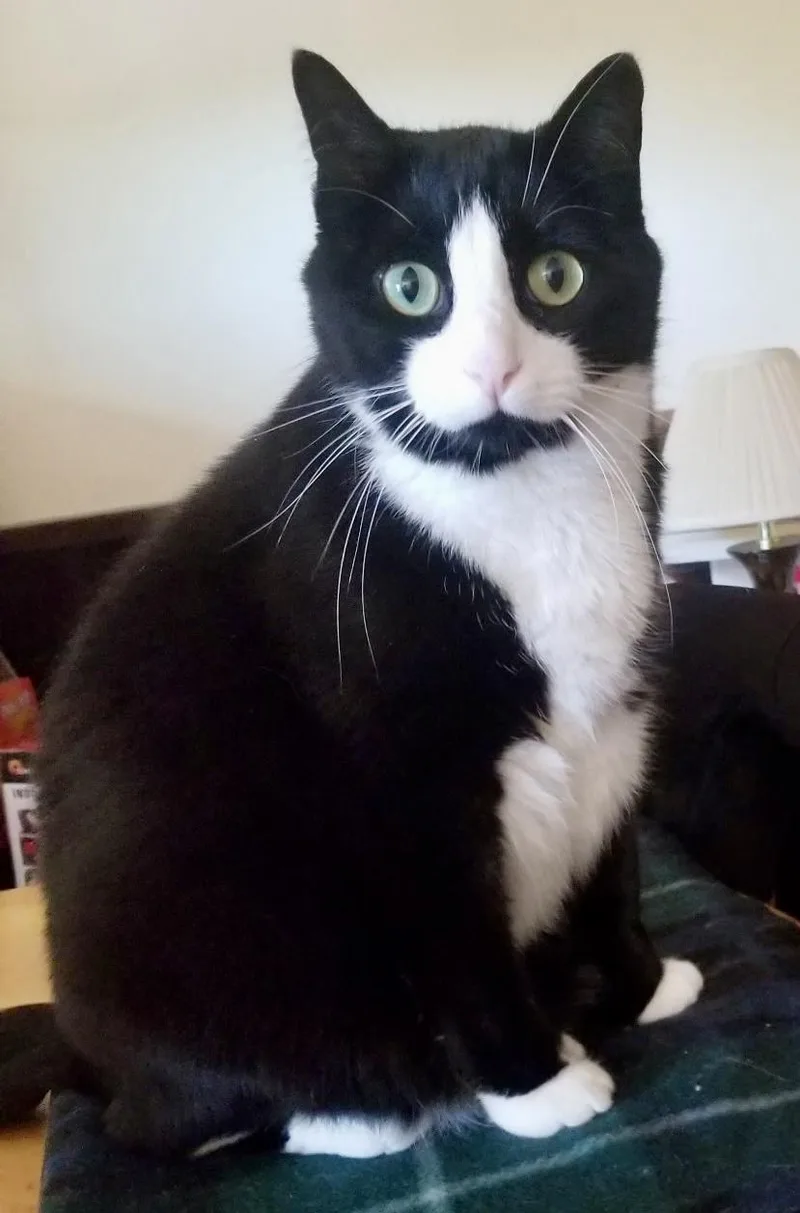 Pepe Andor Finagan thumbnail 2