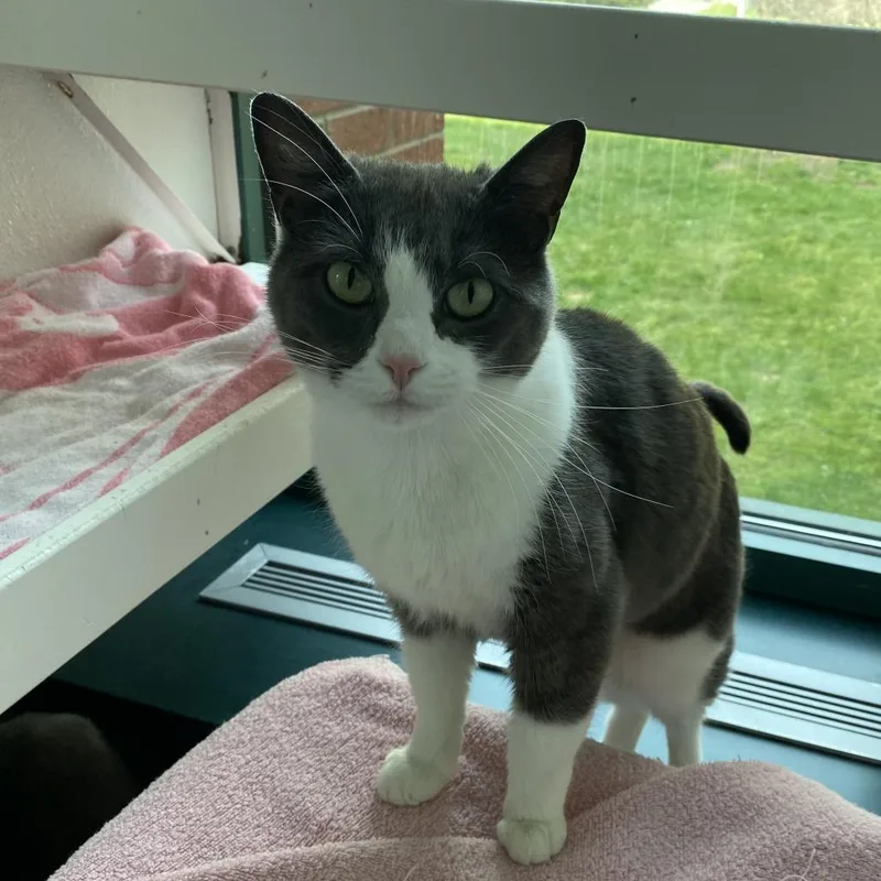 Bonnie Wclyde For thumbnail 2