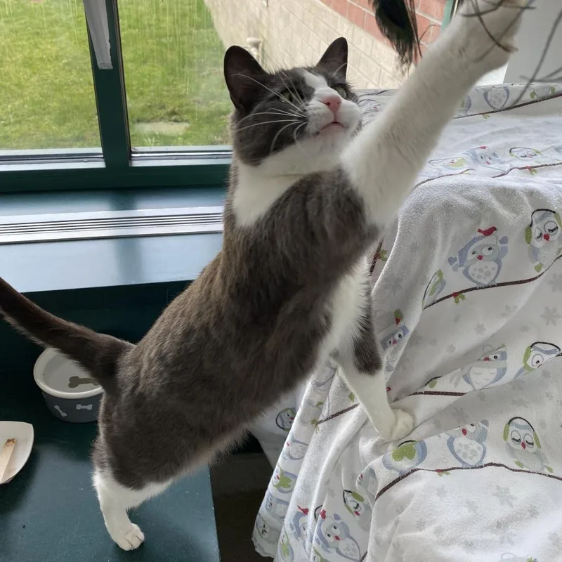 Bonnie Wclyde For thumbnail 3