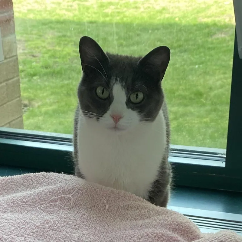 Bonnie Wclyde For thumbnail 4