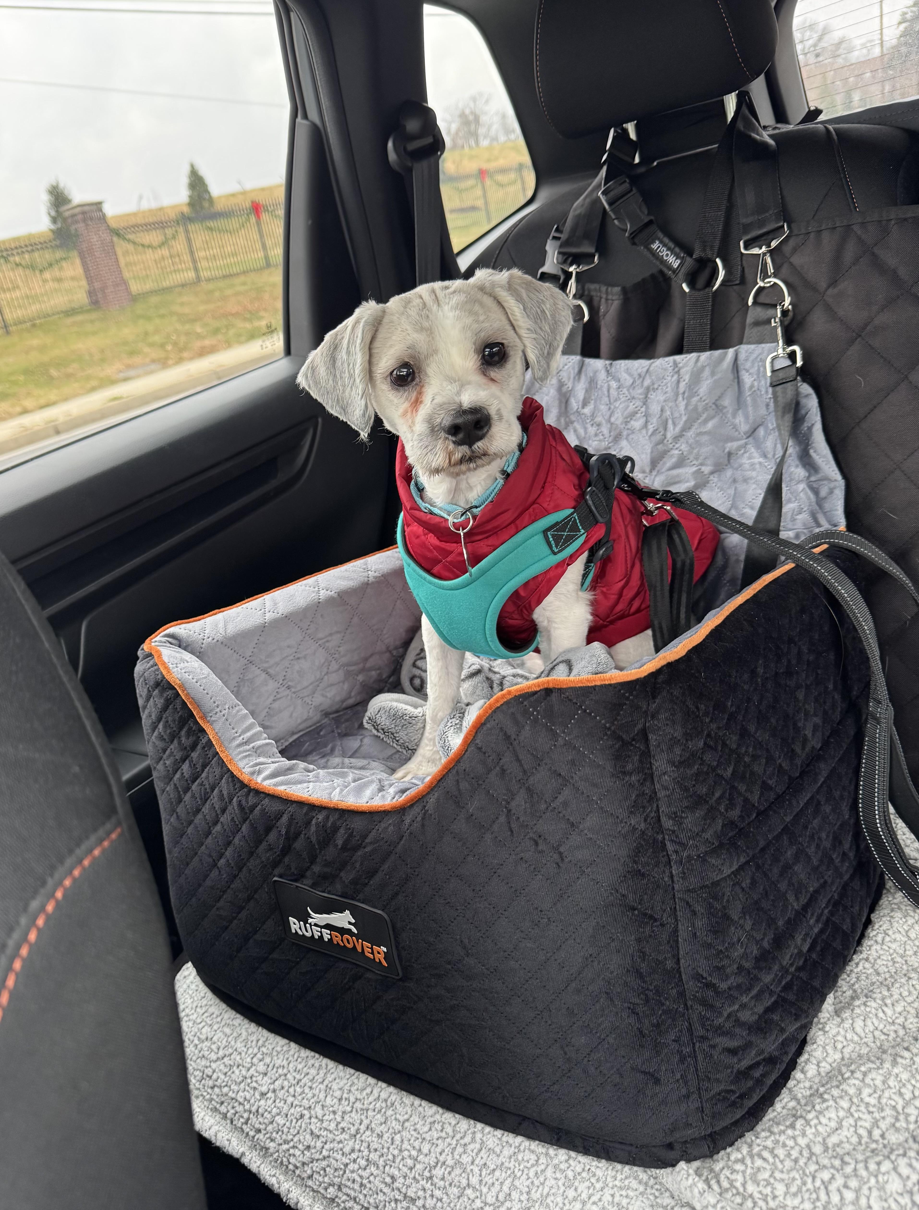 Charlie G. thumbnail 4