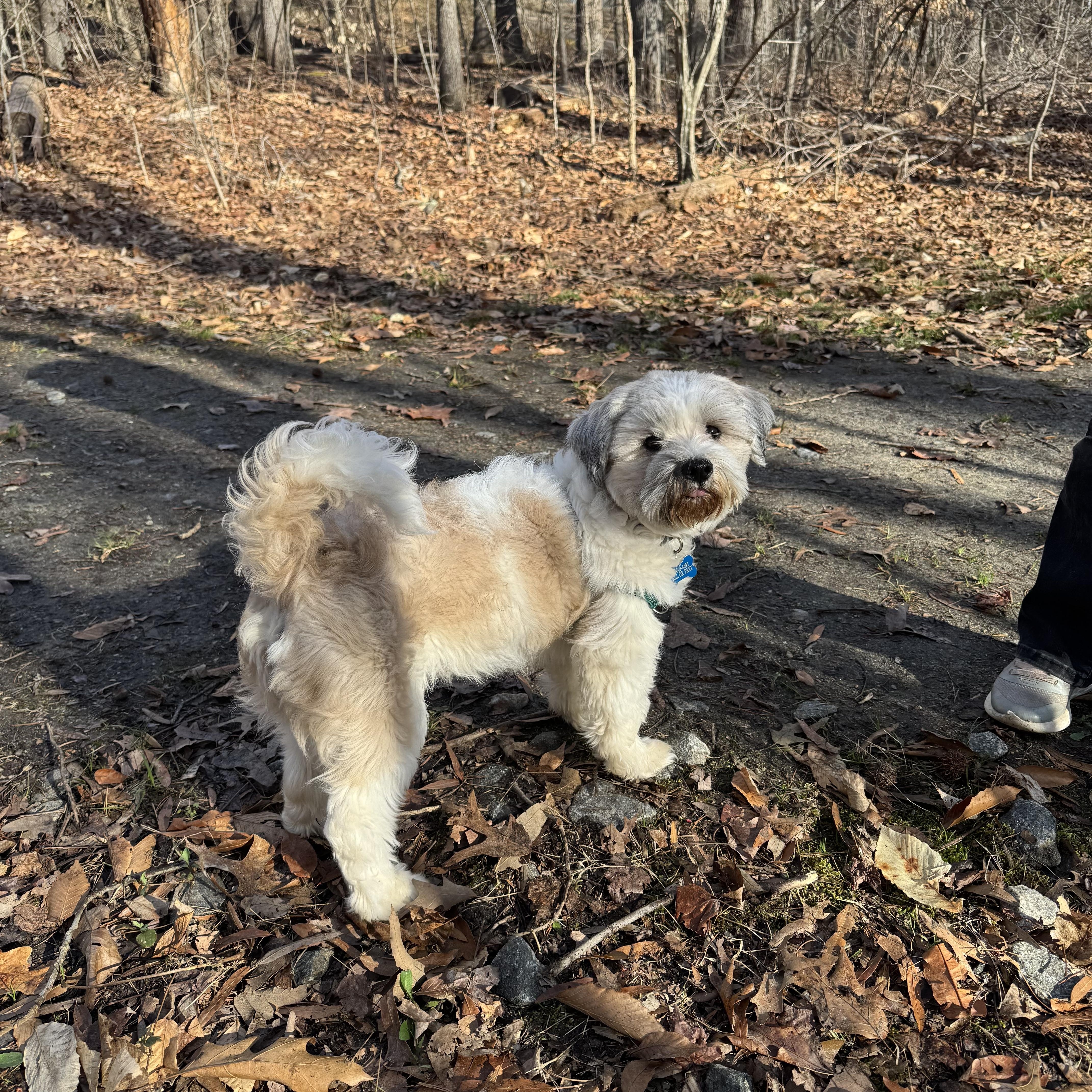 Charlie G. thumbnail 5