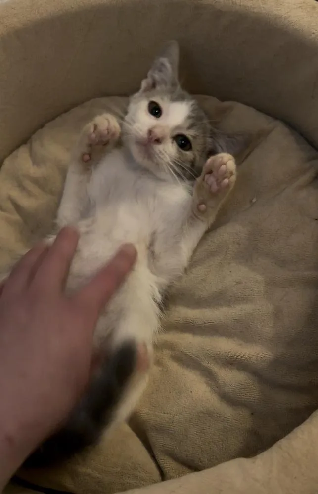 Marley thumbnail 2