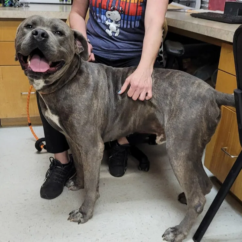 Hercules thumbnail 2