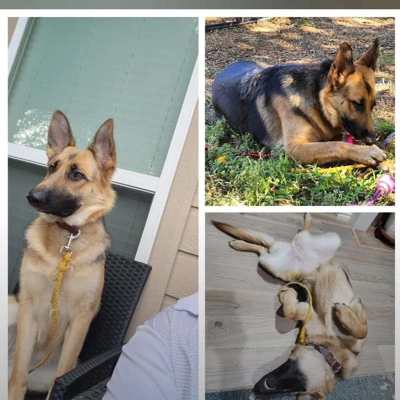 Mia H Gdp thumbnail 3