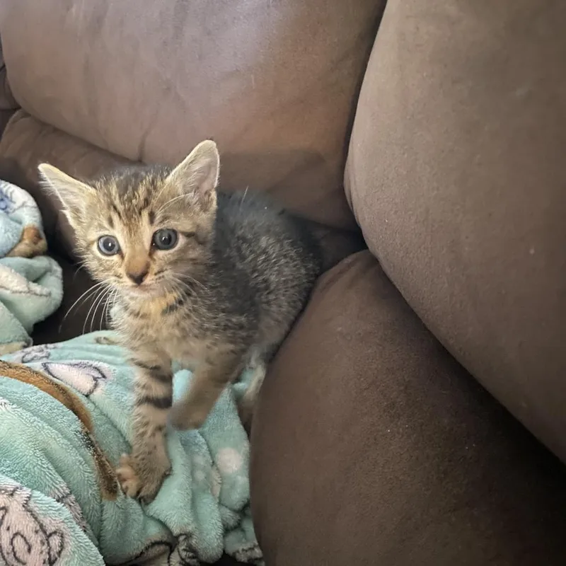 Wednesday thumbnail 2