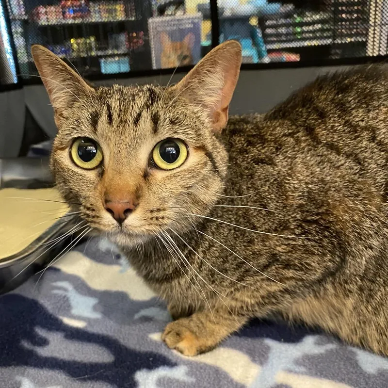 Wednesday thumbnail 3