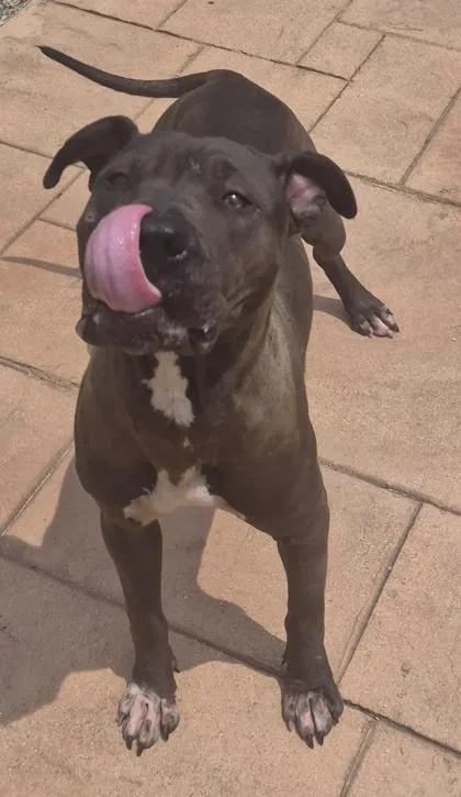 Woofy