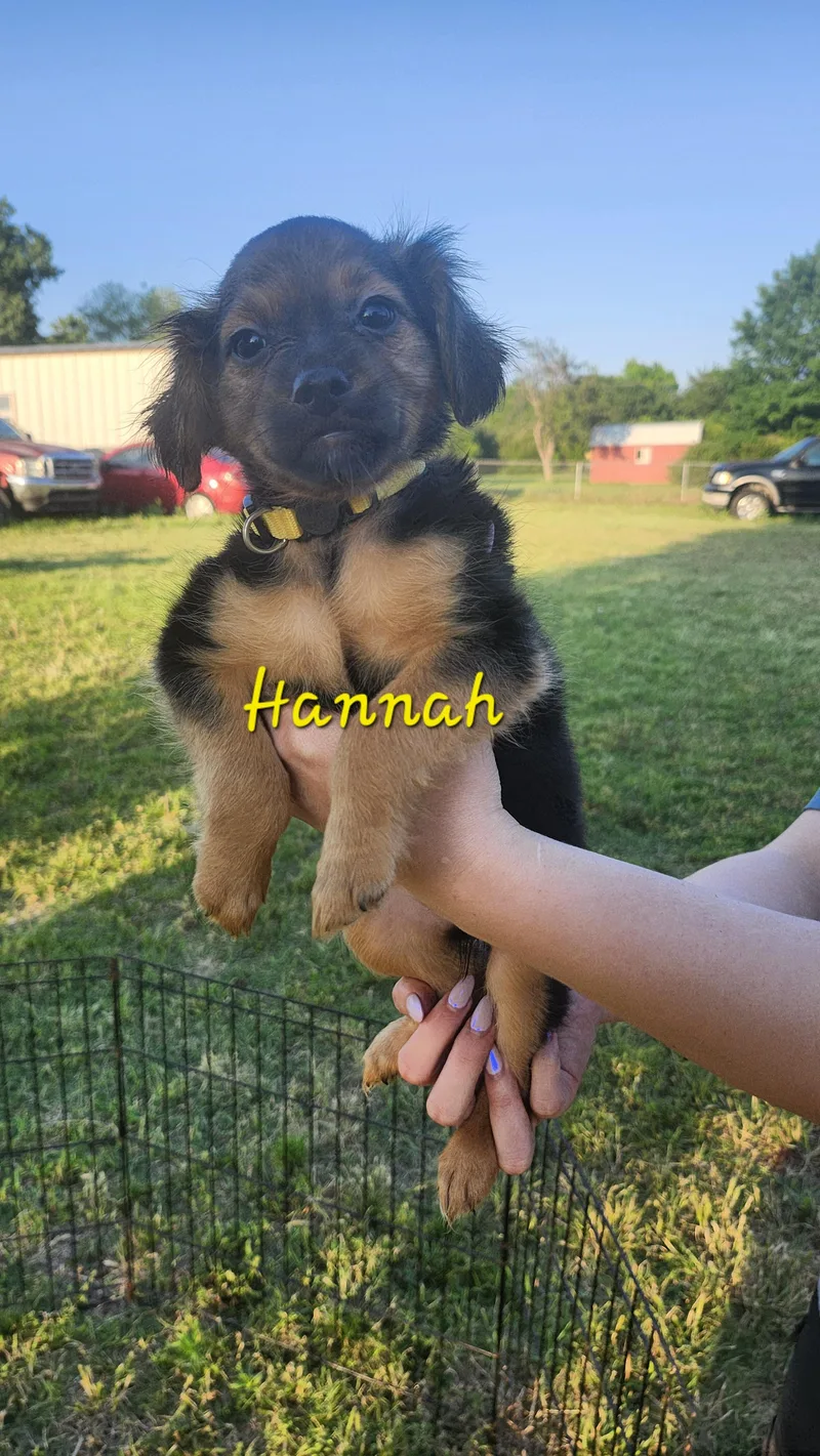 Hannah Montana thumbnail 3