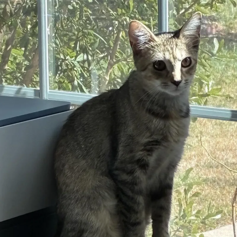 Gracie Lynn thumbnail 6