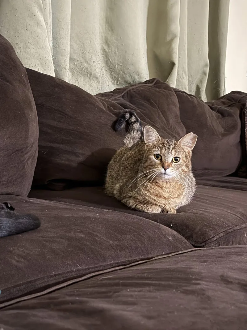 Evermore thumbnail 2