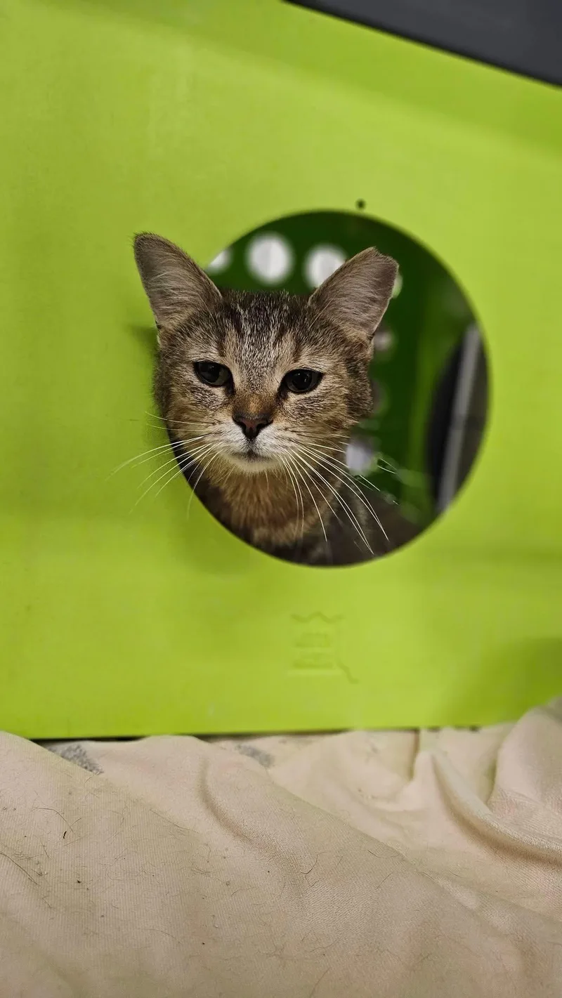 Evermore thumbnail 3