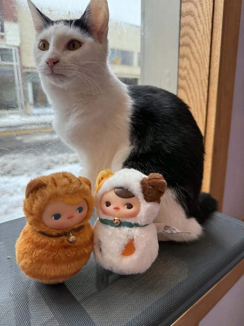 Skullpanda thumbnail 5