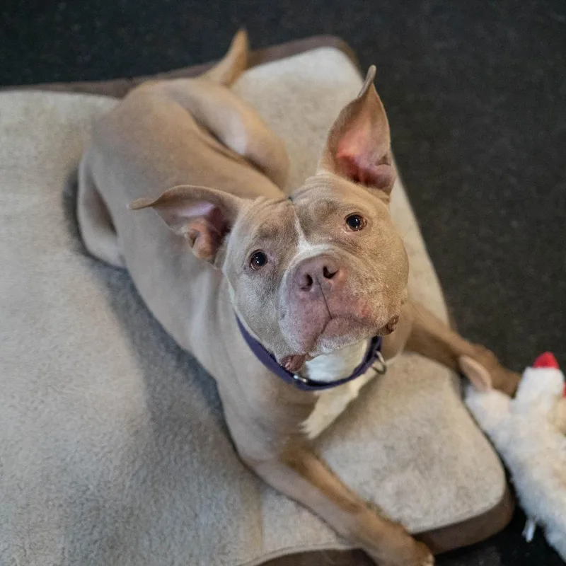 Nala Jean thumbnail 2