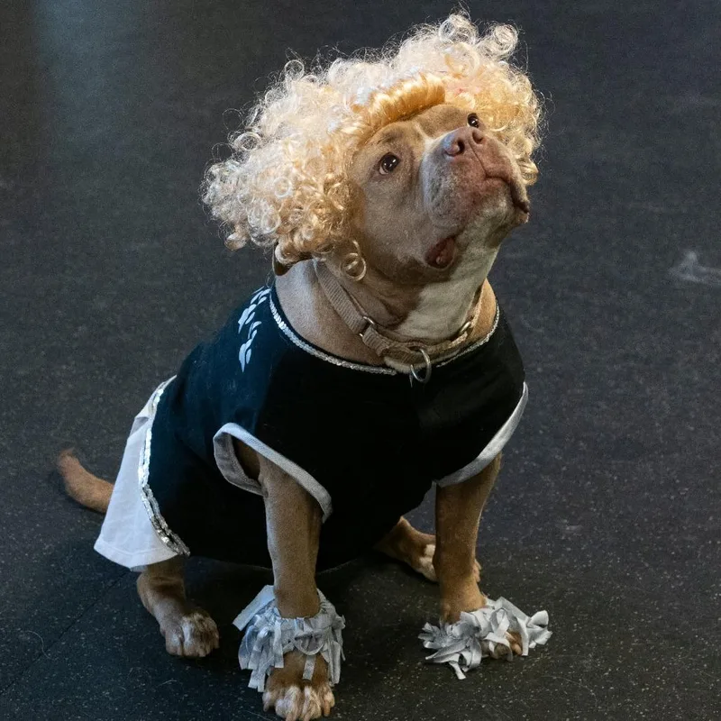 Nala Jean thumbnail 6