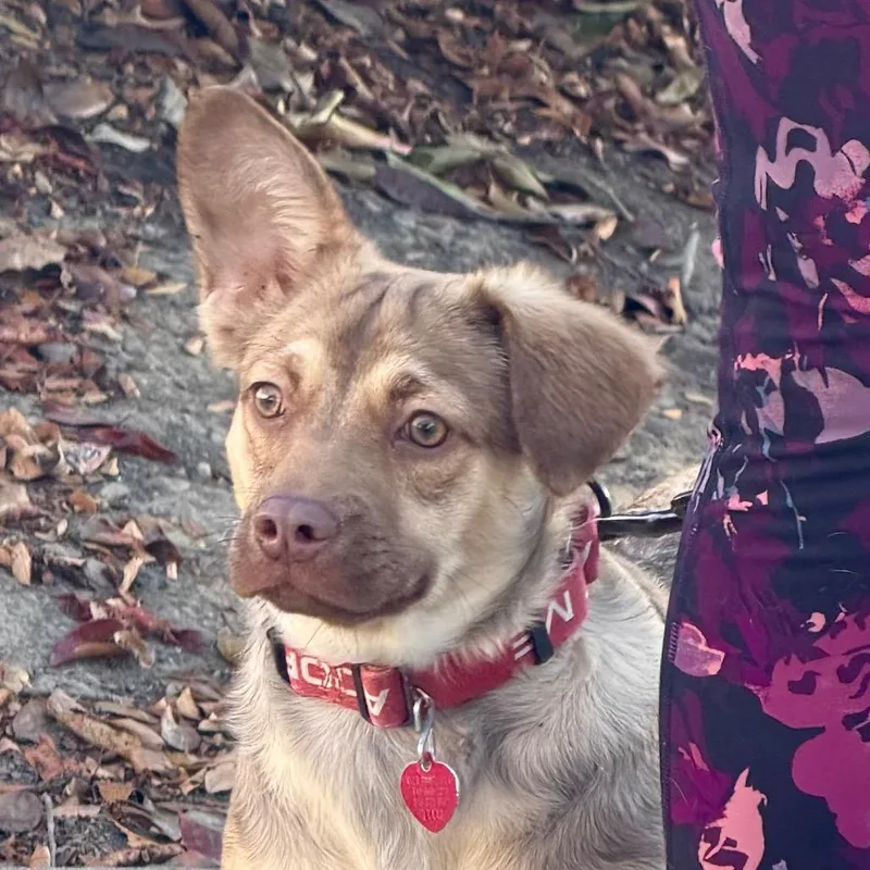 Maggie thumbnail 2