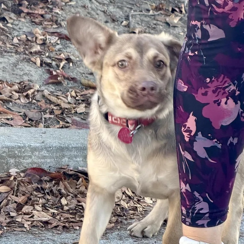 Maggie thumbnail 3