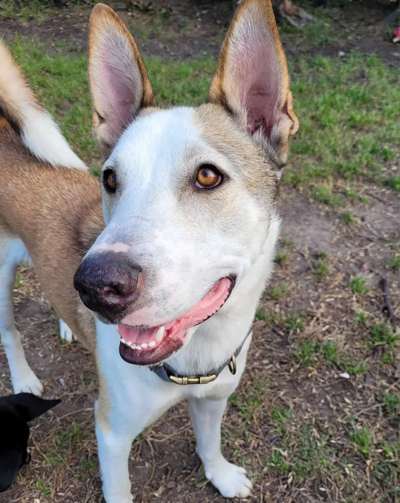 Kentucky thumbnail 3