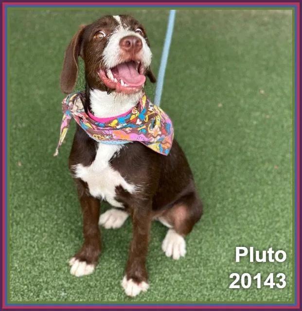Pluto