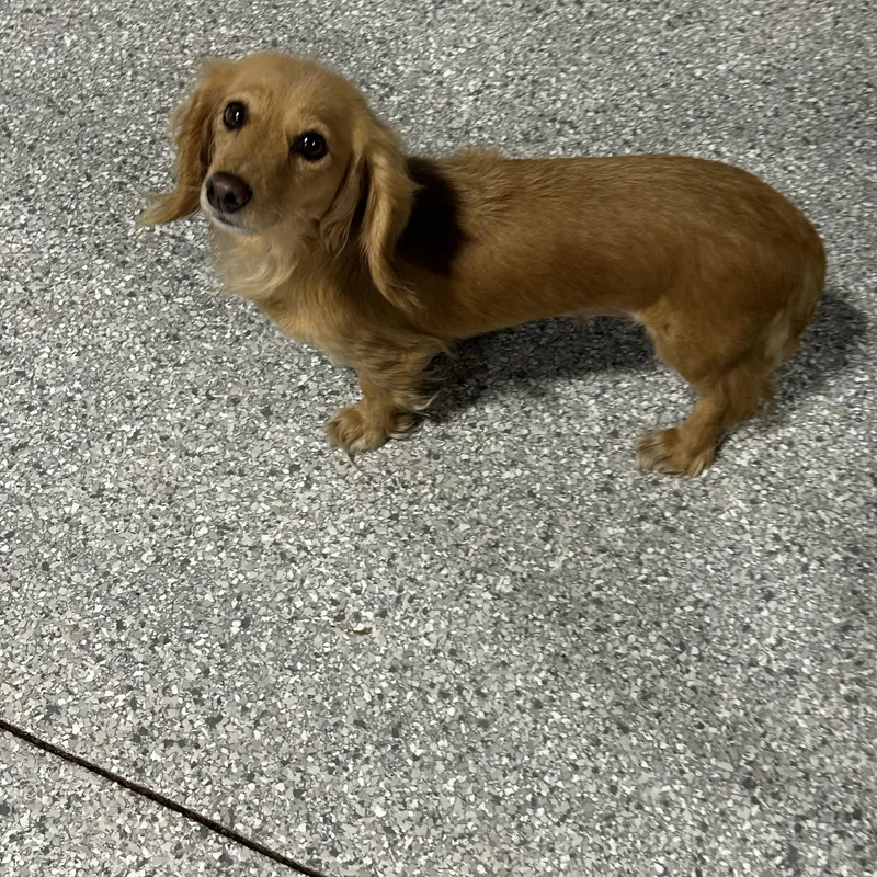 Candy.  Lbs thumbnail 3