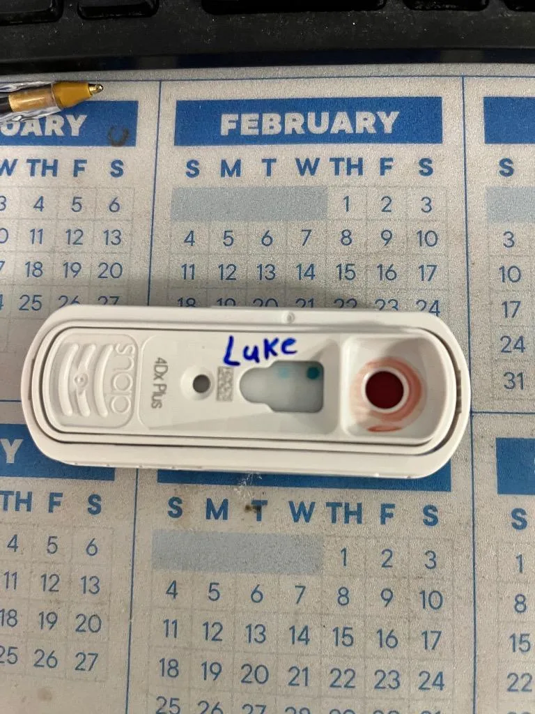 Luke