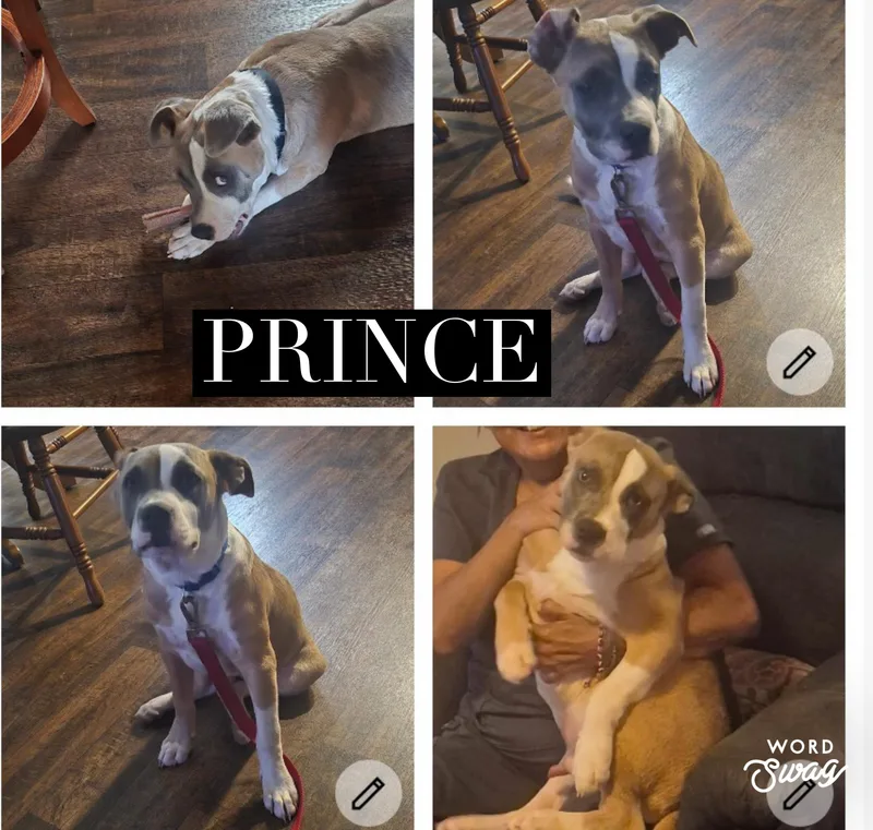 Prince