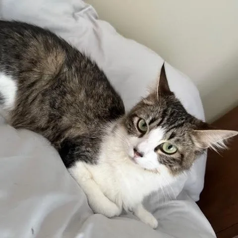 Zoey thumbnail 3